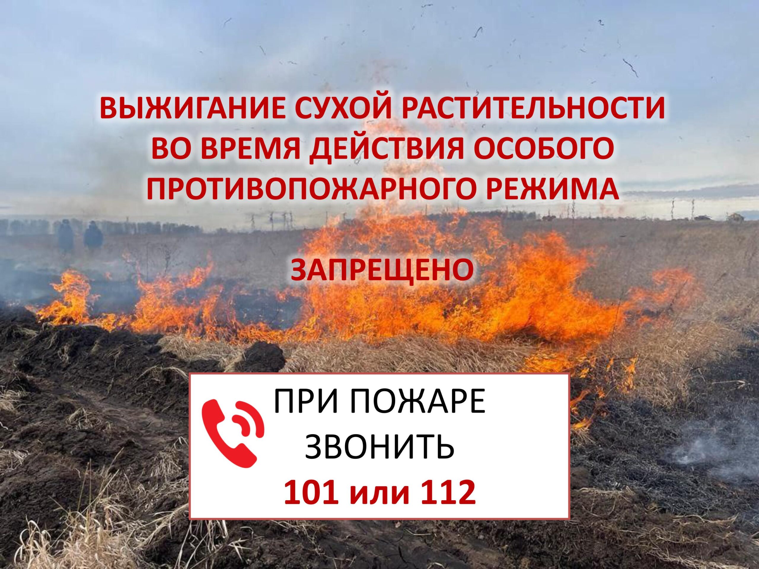 Информация для граждан. Постановлением Администрации МО «Тарбагатайский район» от 10 апреля 2024 года № 55  на территории  МО  «Тарбагатайский район»  с 08 апреля 2024 года  введен  особый противопожарный режим..