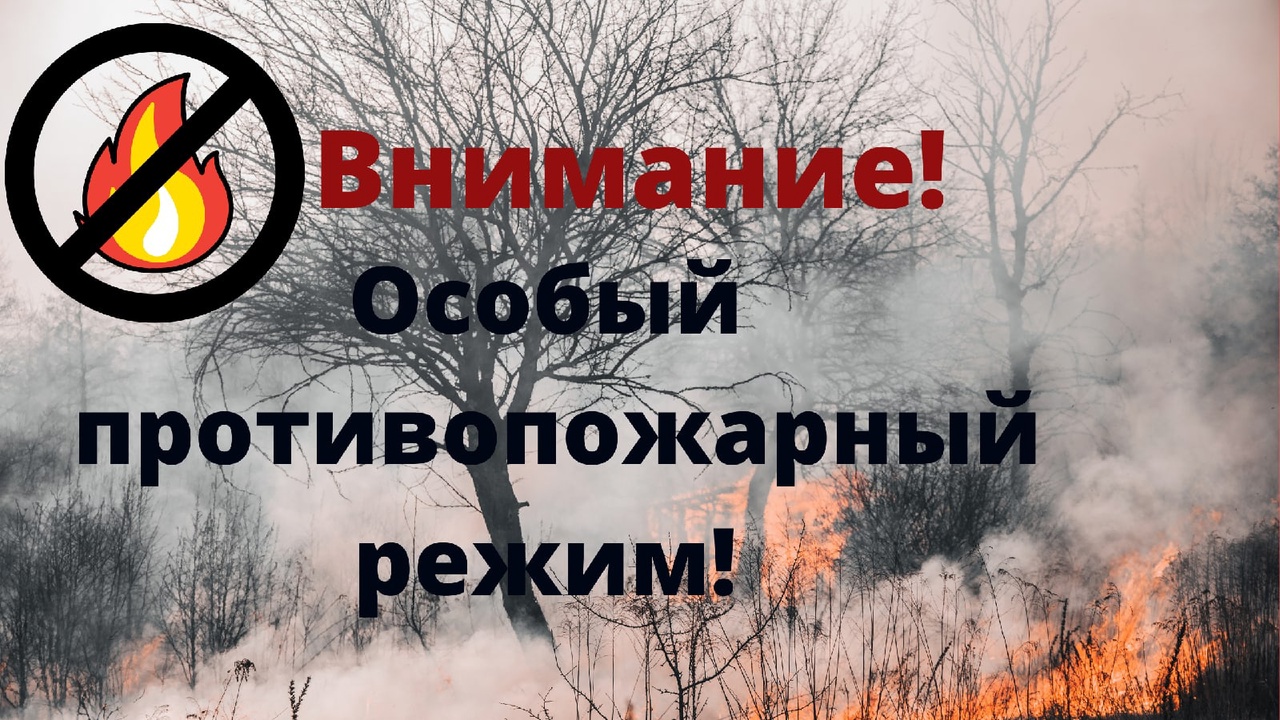 Информация для граждан. Постановлением Администрации МО «Тарбагатайский район» от 10 апреля 2024 года № 55  на территории  МО  «Тарбагатайский район»  с 08 апреля 2024 года  введен  особый противопожарный режим..