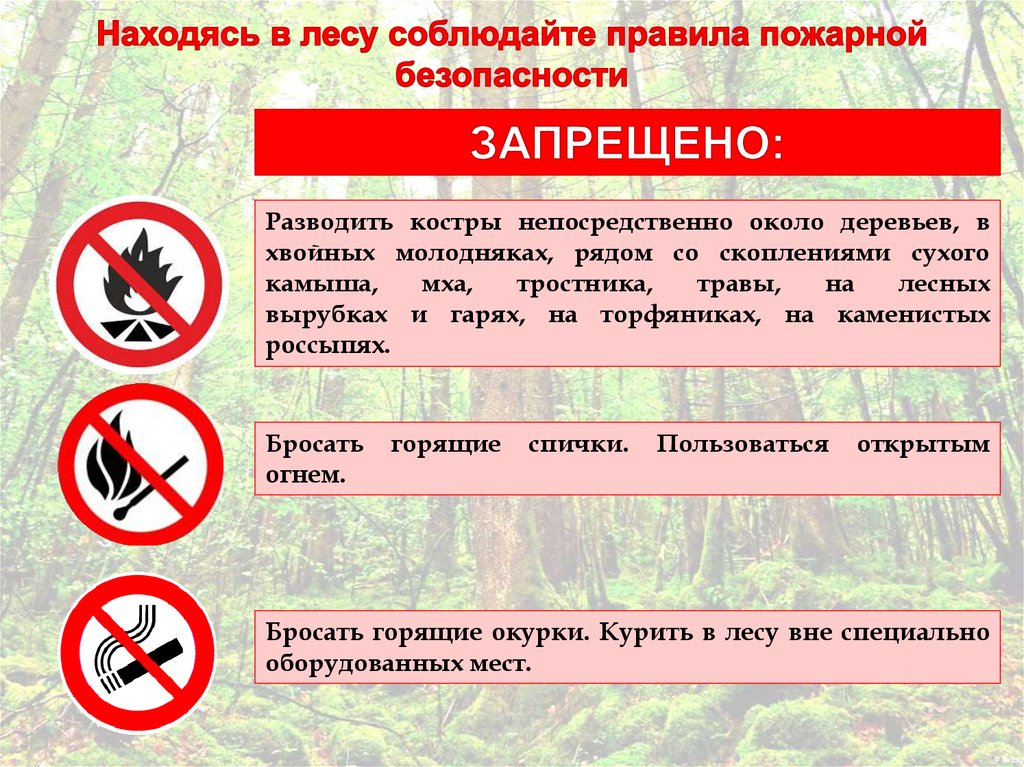 Информация для граждан. Постановлением Администрации МО «Тарбагатайский район» от 10 апреля 2024 года № 55  на территории  МО  «Тарбагатайский район»  с 08 апреля 2024 года  введен  особый противопожарный режим..