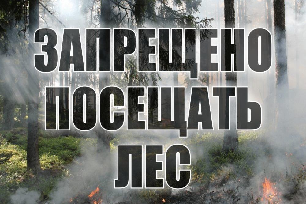 Информация для граждан. Постановлением Администрации МО «Тарбагатайский район» от 10 апреля 2024 года № 55  на территории  МО  «Тарбагатайский район»  с 08 апреля 2024 года  введен  особый противопожарный режим..