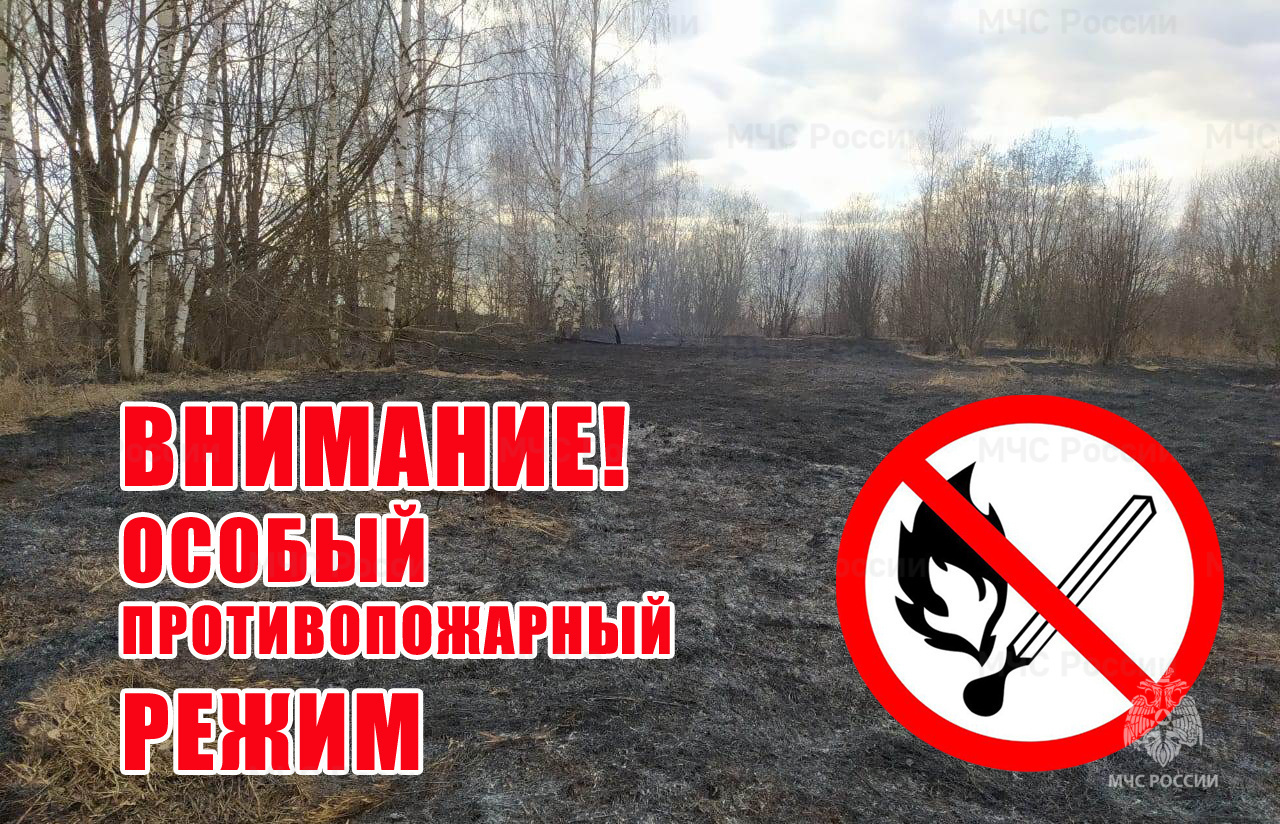 Информация для граждан. Постановлением Администрации МО «Тарбагатайский район» от 10 апреля 2024 года № 55  на территории  МО  «Тарбагатайский район»  с 08 апреля 2024 года  введен  особый противопожарный режим..
