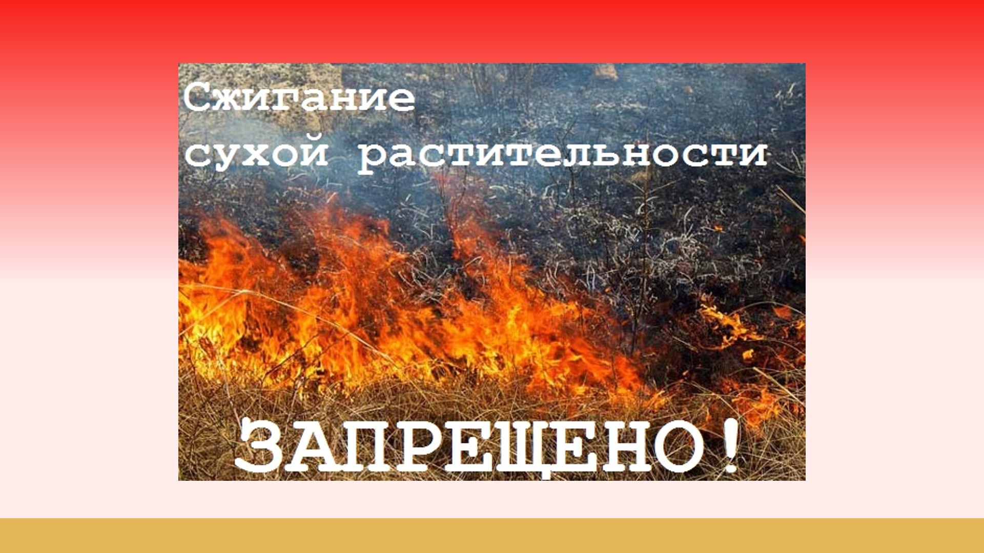 Информация для граждан. Постановлением Администрации МО «Тарбагатайский район» от 10 апреля 2024 года № 55  на территории  МО  «Тарбагатайский район»  с 08 апреля 2024 года  введен  особый противопожарный режим..