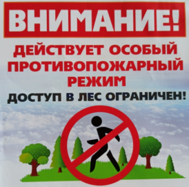 Информация для граждан. Постановлением Администрации МО «Тарбагатайский район» от 10 апреля 2024 года № 55  на территории  МО  «Тарбагатайский район»  с 08 апреля 2024 года  введен  особый противопожарный режим..