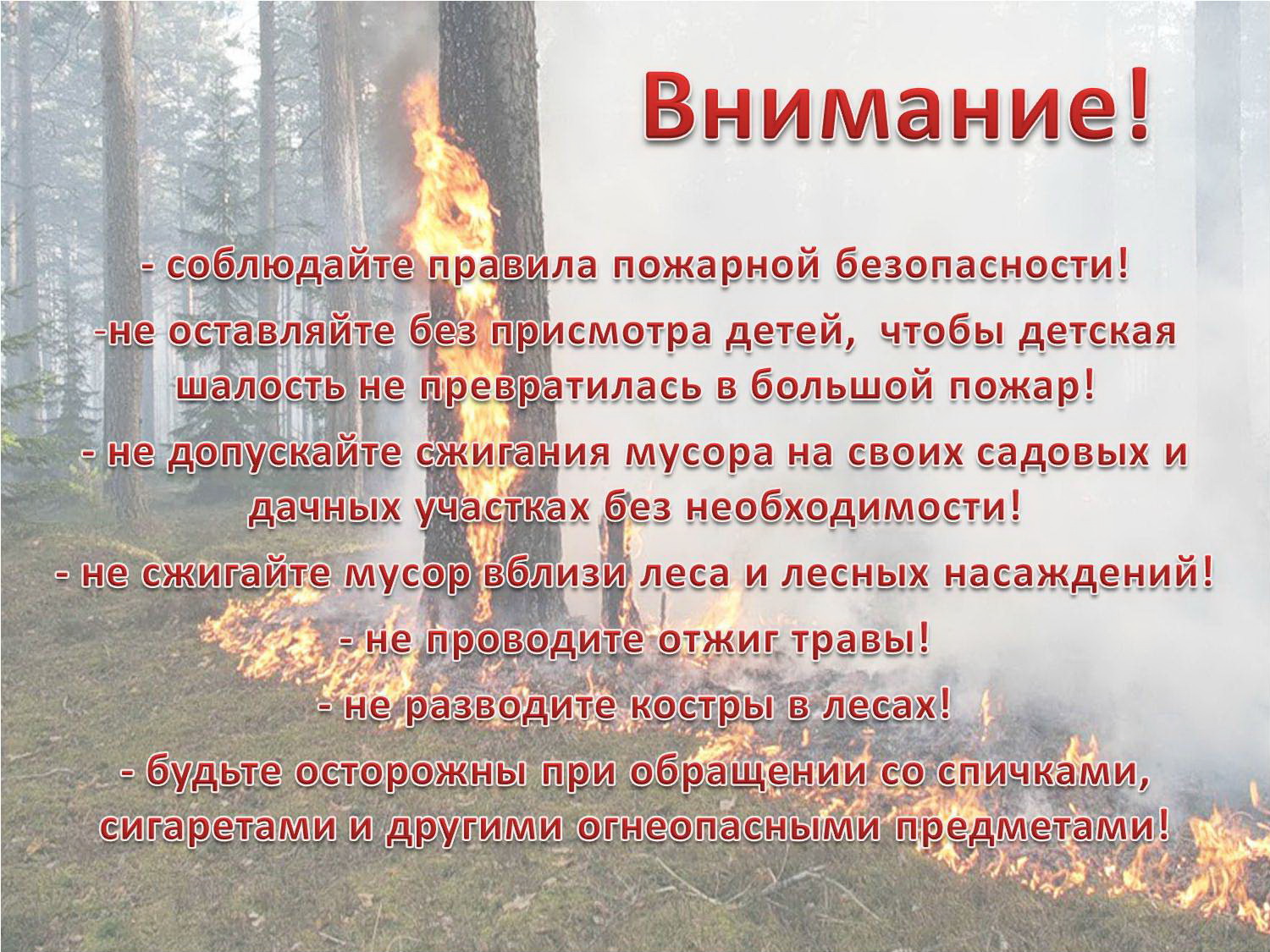 Информация для граждан. Постановлением Администрации МО «Тарбагатайский район» от 10 апреля 2024 года № 55  на территории  МО  «Тарбагатайский район»  с 08 апреля 2024 года  введен  особый противопожарный режим..