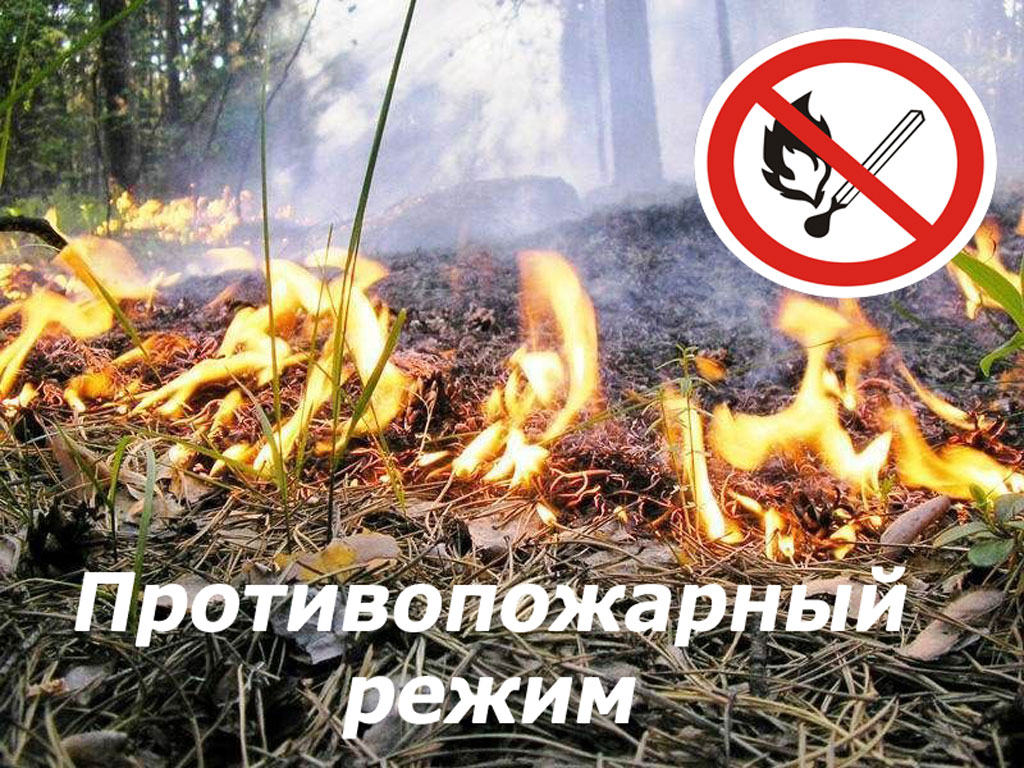 Информация для граждан. Постановлением Администрации МО «Тарбагатайский район» от 10 апреля 2024 года № 55  на территории  МО  «Тарбагатайский район»  с 08 апреля 2024 года  введен  особый противопожарный режим..