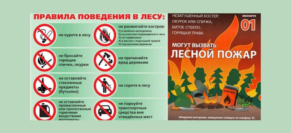 Правила пожарной безопасности в лесах.