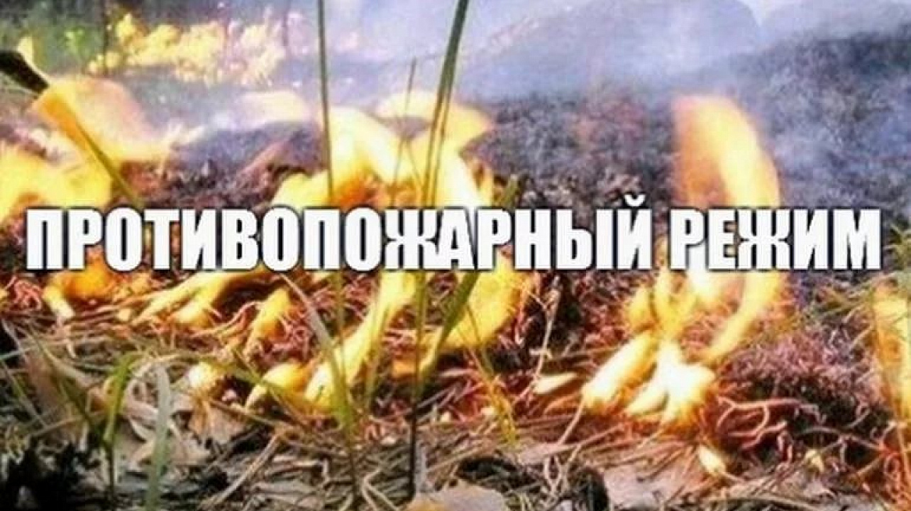Информация для граждан. Постановлением Администрации МО «Тарбагатайский район» от 10 апреля 2024 года № 55  на территории  МО  «Тарбагатайский район»  с 08 апреля 2024 года  введен  особый противопожарный режим..