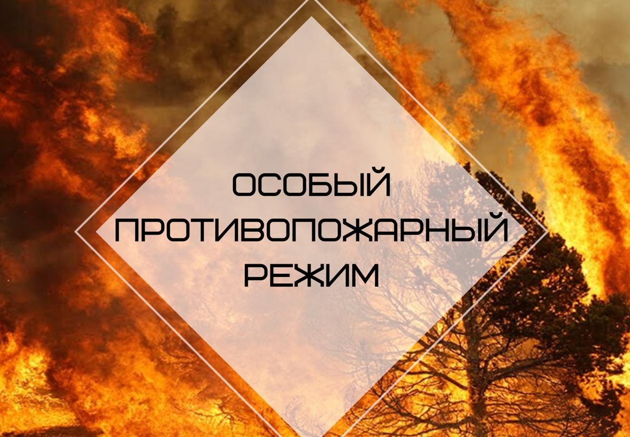 Информация для граждан. Постановлением Администрации МО «Тарбагатайский район» от 10 апреля 2024 года № 55  на территории  МО  «Тарбагатайский район»  с 08 апреля 2024 года  введен  особый противопожарный режим..