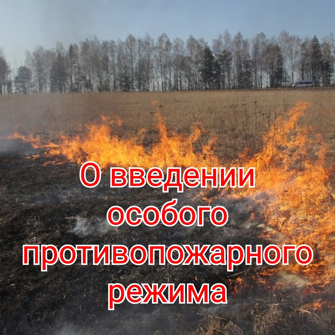 Информация для граждан. Постановлением Администрации МО «Тарбагатайский район» от 10 апреля 2024 года № 55  на территории  МО  «Тарбагатайский район»  с 08 апреля 2024 года  введен  особый противопожарный режим..