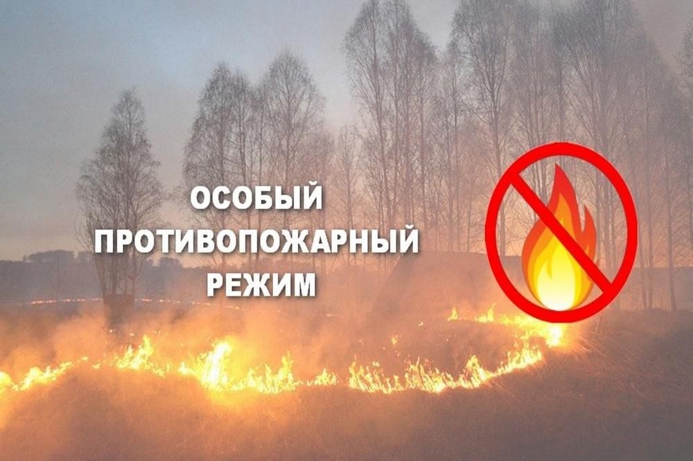 Информация для граждан. Постановлением Администрации МО «Тарбагатайский район» от 10 апреля 2024 года № 55  на территории  МО  «Тарбагатайский район»  с 08 апреля 2024 года  введен  особый противопожарный режим..