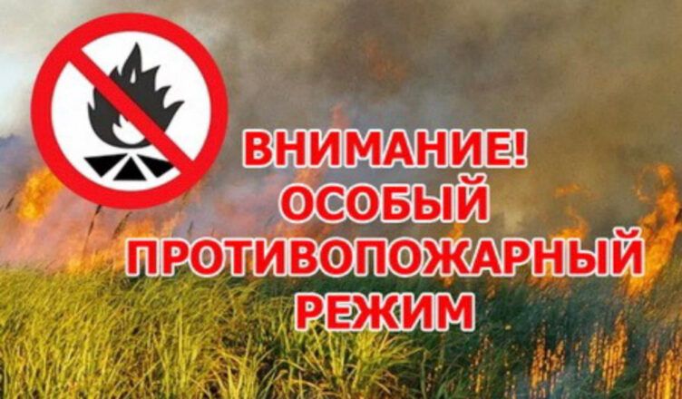 Информация для граждан. Постановлением Администрации МО «Тарбагатайский район» от 10 апреля 2024 года № 55  на территории  МО  «Тарбагатайский район»  с 08 апреля 2024 года  введен  особый противопожарный режим..