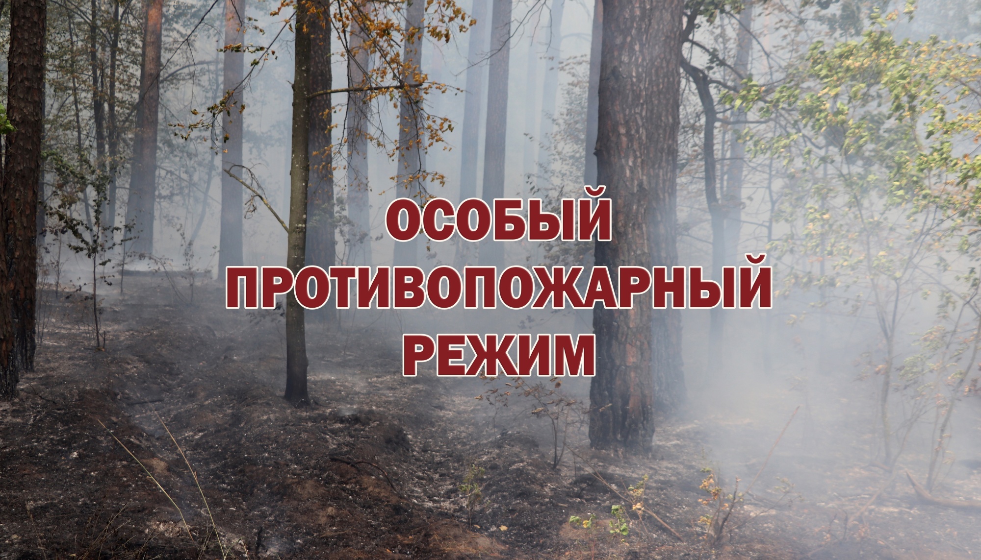 Информация для граждан. Постановлением Администрации МО «Тарбагатайский район» от 10 апреля 2024 года № 55  на территории  МО  «Тарбагатайский район»  с 08 апреля 2024 года  введен  особый противопожарный режим..