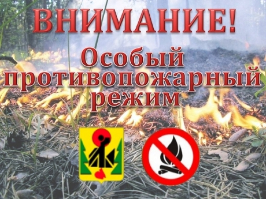 Информация для граждан. Постановлением Администрации МО «Тарбагатайский район» от 10 апреля 2024 года № 55  на территории  МО  «Тарбагатайский район»  с 08 апреля 2024 года  введен  особый противопожарный режим..