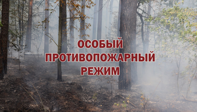 Информация для граждан. Постановлением Администрации МО «Тарбагатайский район» от 10 апреля 2024 года № 55 на территории МО «Тарбагатайский район» с 08 апреля 2024 года введен особый противопожарный режим.. Информация для граждан. Постановлением Администрации МО «Тарбагатайский район» от 10 апреля 2024 года № 55 на территории МО «Тарбагатайский район» с 08 апреля 2024 года введен особый противопожарный режим..