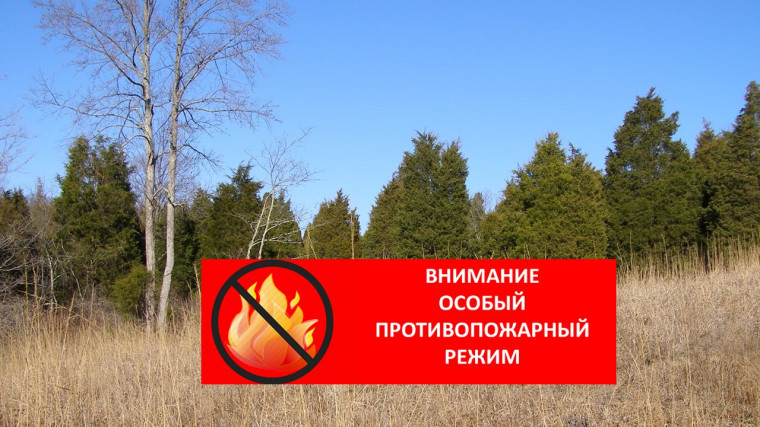 Информация для граждан. Постановлением Администрации МО «Тарбагатайский район» от 10 апреля 2024 года № 55 на территории МО «Тарбагатайский район» с 08 апреля 2024 года введен особый противопожарный режим.. Информация для граждан. Постановлением Администрации МО «Тарбагатайский район» от 10 апреля 2024 года № 55 на территории МО «Тарбагатайский район» с 08 апреля 2024 года введен особый противопожарный режим..