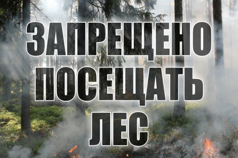 Информация для граждан. Постановлением Администрации МО «Тарбагатайский район» от 10 апреля 2024 года № 55 на территории МО «Тарбагатайский район» с 08 апреля 2024 года введен особый противопожарный режим.. Информация для граждан. Постановлением Администрации МО «Тарбагатайский район» от 10 апреля 2024 года № 55 на территории МО «Тарбагатайский район» с 08 апреля 2024 года введен особый противопожарный режим..